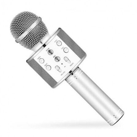 MICROPHONE PORTABLE WS-858  prix Tunisie
