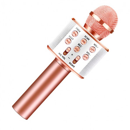 MICROPHONE PORTABLE WS-858 a bas prix