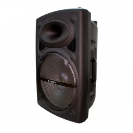 Haut-Parleur Traxdata 15" Bluetooth avec 2 Micros Sans Fil au meilleur prix