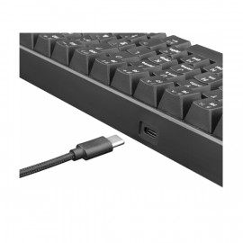 vente CLAVIER GAMING MÉCANIQUE WHITE SHARK