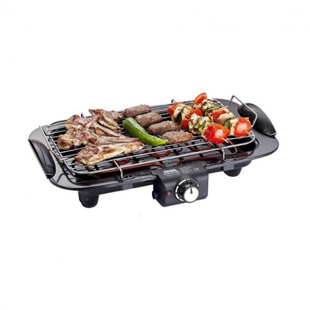 BARBECUE GRILL ÉLECTRIQUE au meilleur prix